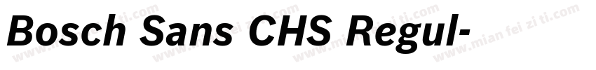 Bosch Sans CHS Regul字体转换